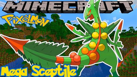 pixelmon sceptile|when does sceptile evolve.